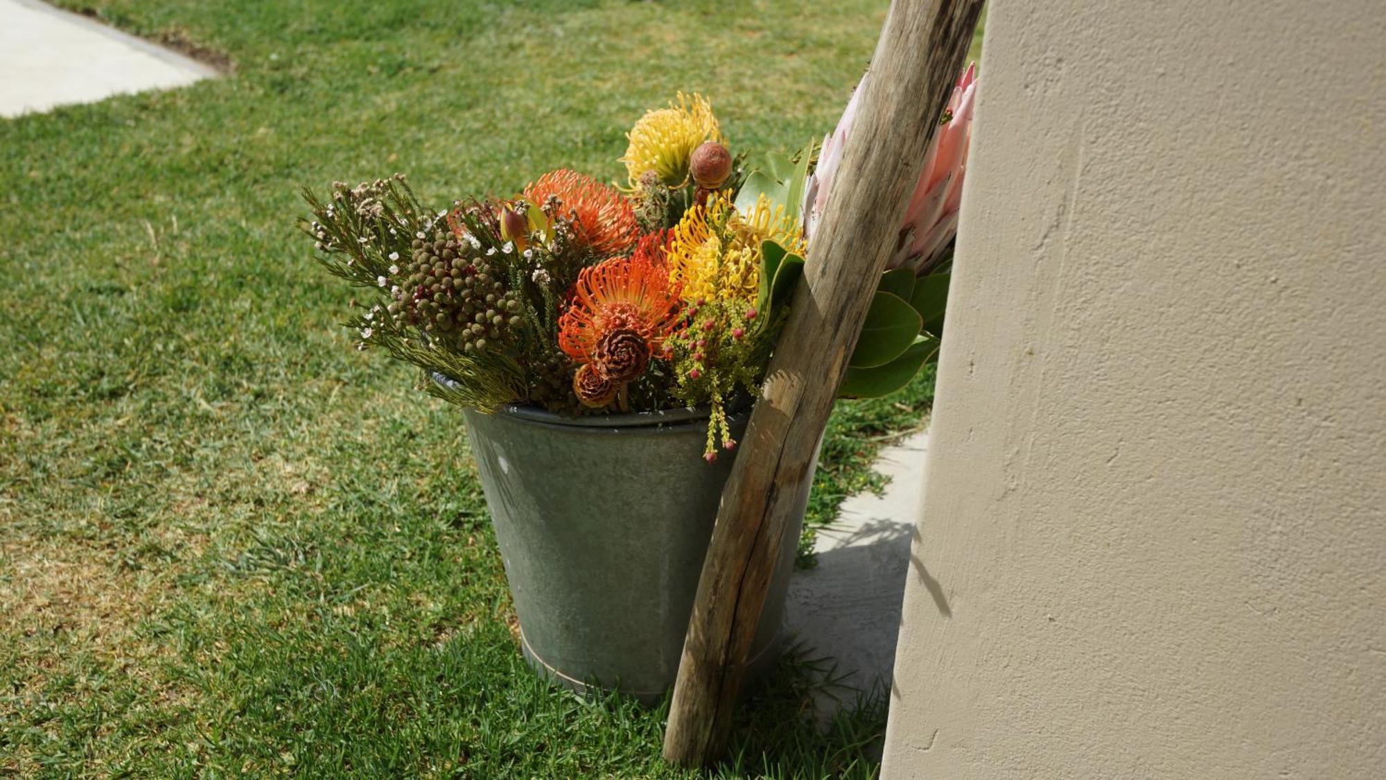 Stellar Overberg Travellers Lodge Napier エクステリア 写真