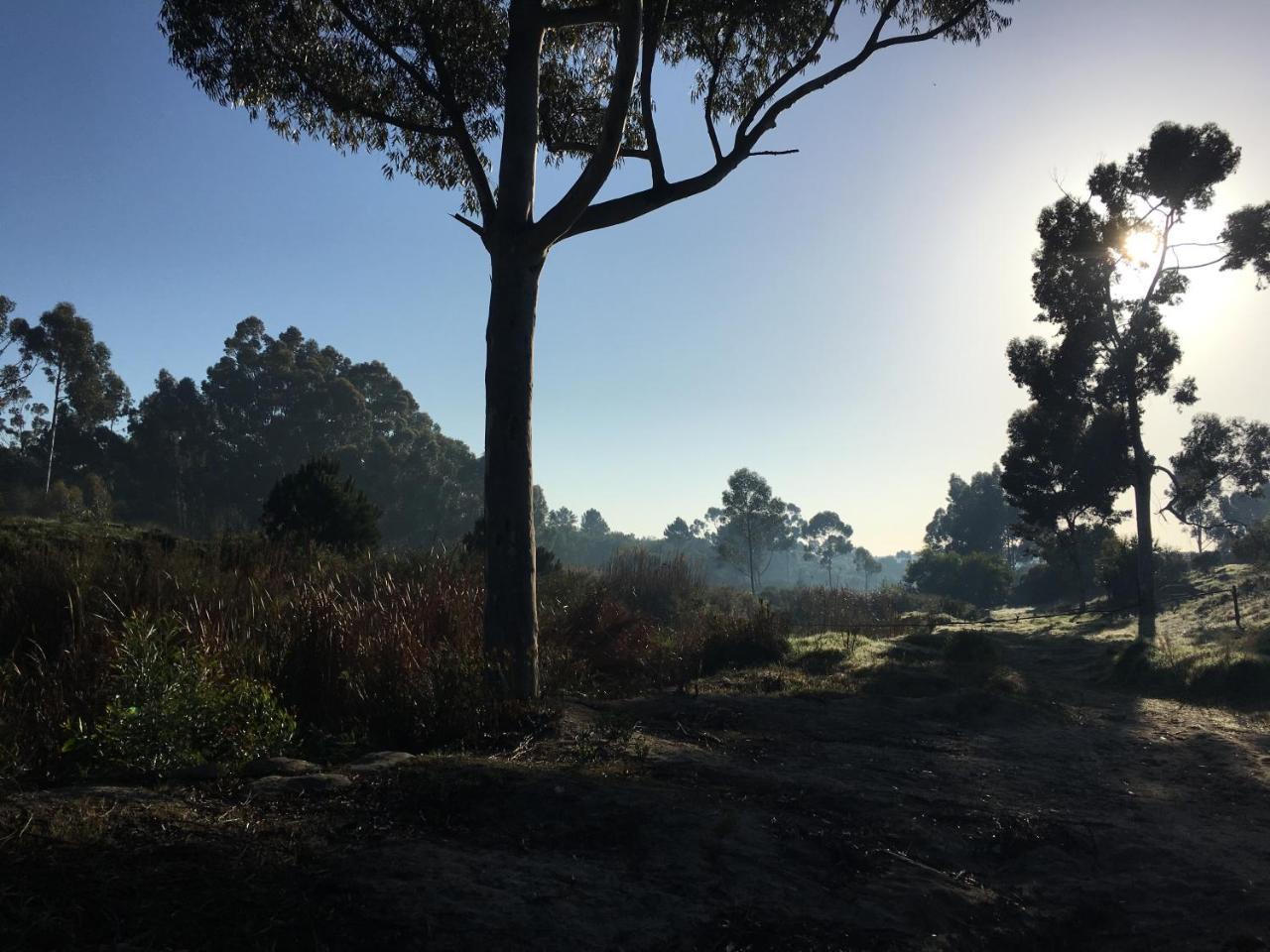 Stellar Overberg Travellers Lodge Napier エクステリア 写真