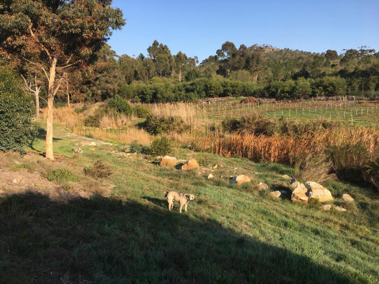 Stellar Overberg Travellers Lodge Napier エクステリア 写真