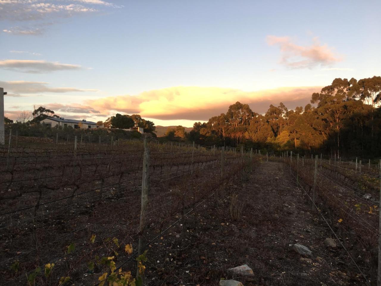 Stellar Overberg Travellers Lodge Napier エクステリア 写真