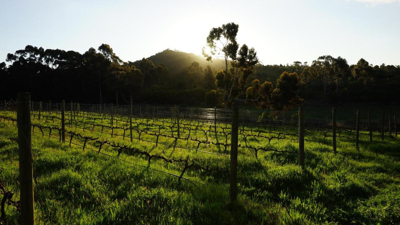 Stellar Overberg Travellers Lodge Napier エクステリア 写真