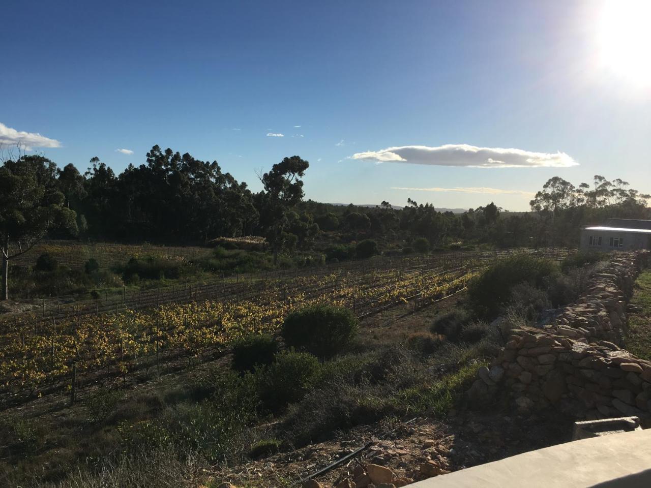 Stellar Overberg Travellers Lodge Napier エクステリア 写真