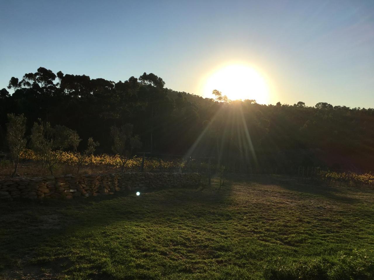 Stellar Overberg Travellers Lodge Napier エクステリア 写真