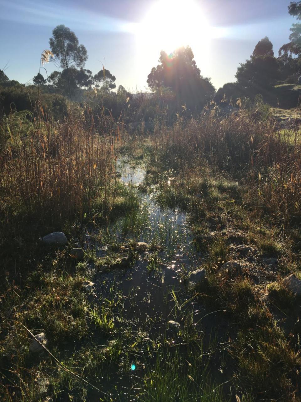 Stellar Overberg Travellers Lodge Napier エクステリア 写真