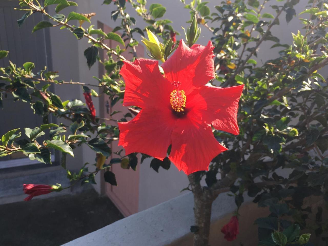 Stellar Overberg Travellers Lodge Napier エクステリア 写真