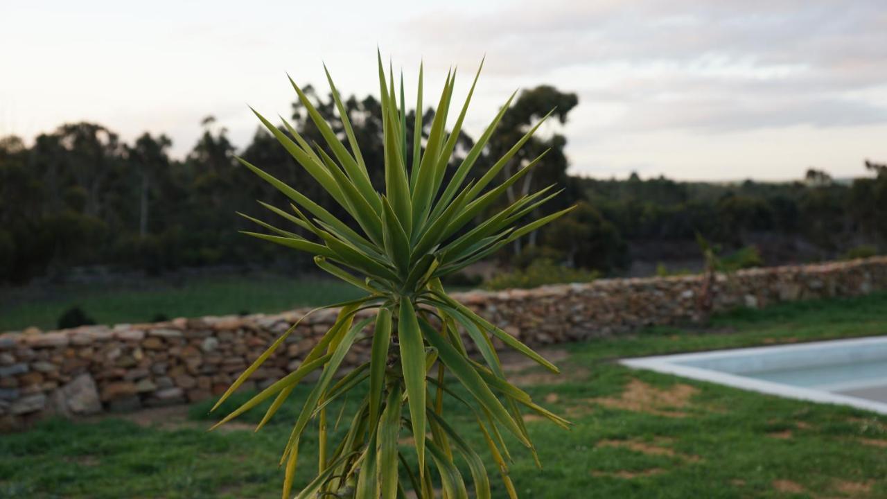 Stellar Overberg Travellers Lodge Napier エクステリア 写真