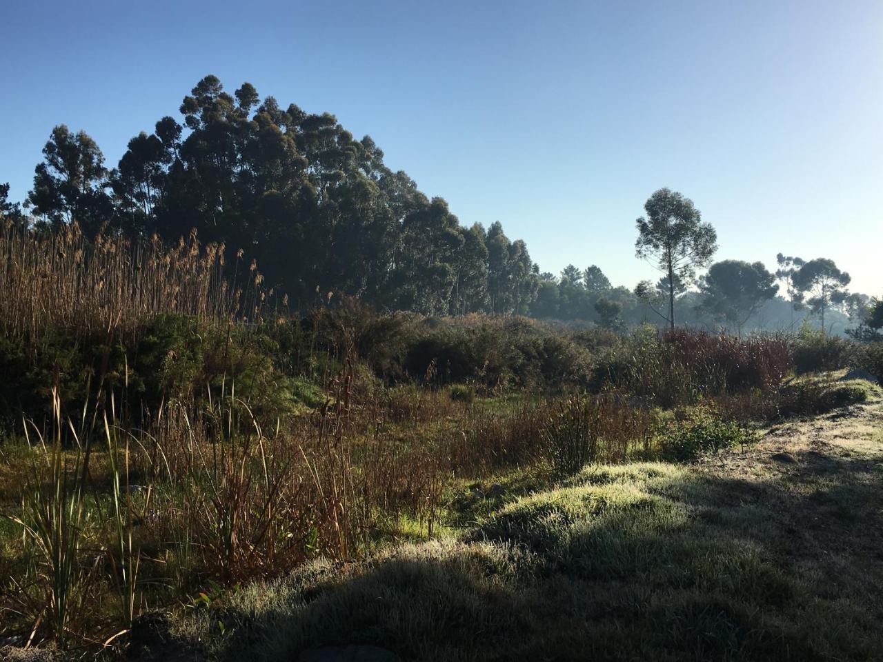 Stellar Overberg Travellers Lodge Napier エクステリア 写真