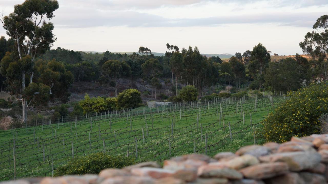 Stellar Overberg Travellers Lodge Napier エクステリア 写真